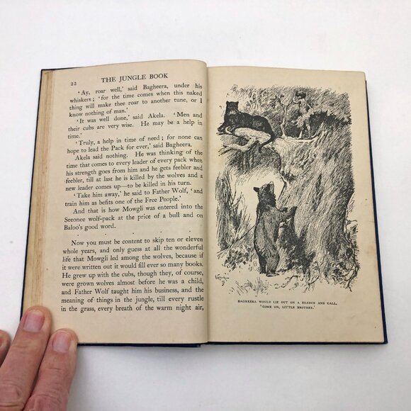 The Jungle Book Rudyard Kipling 1930 MacMillan and Co. Limited London - Picture 8 of 12